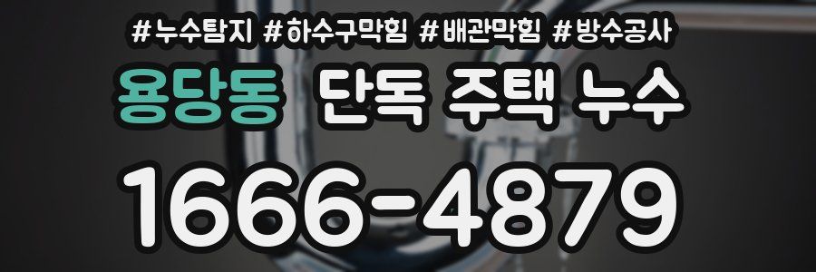 용당동 단독 주택 누수