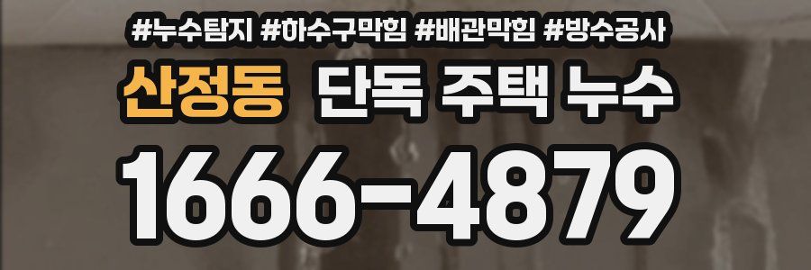 산정동 단독 주택 누수