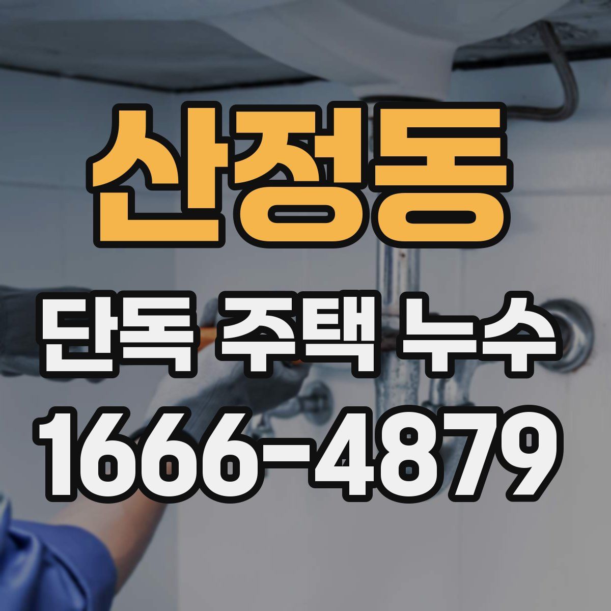 산정동 단독 주택 누수