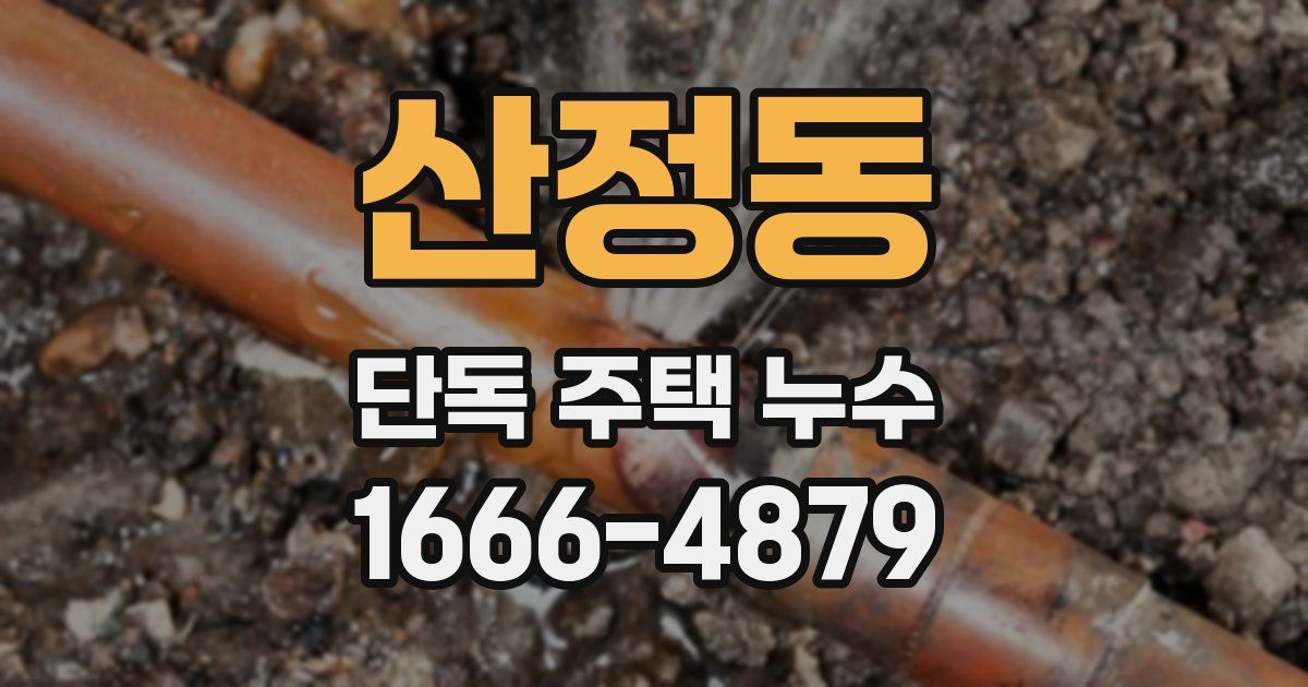 산정동 단독 주택 누수