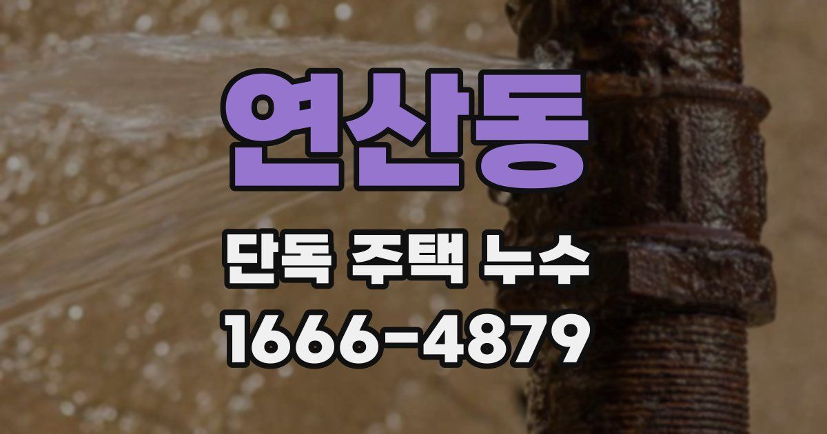 연산동 단독 주택 누수