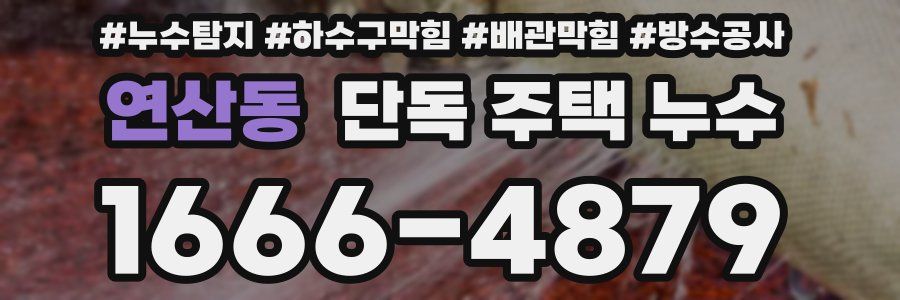 연산동 단독 주택 누수