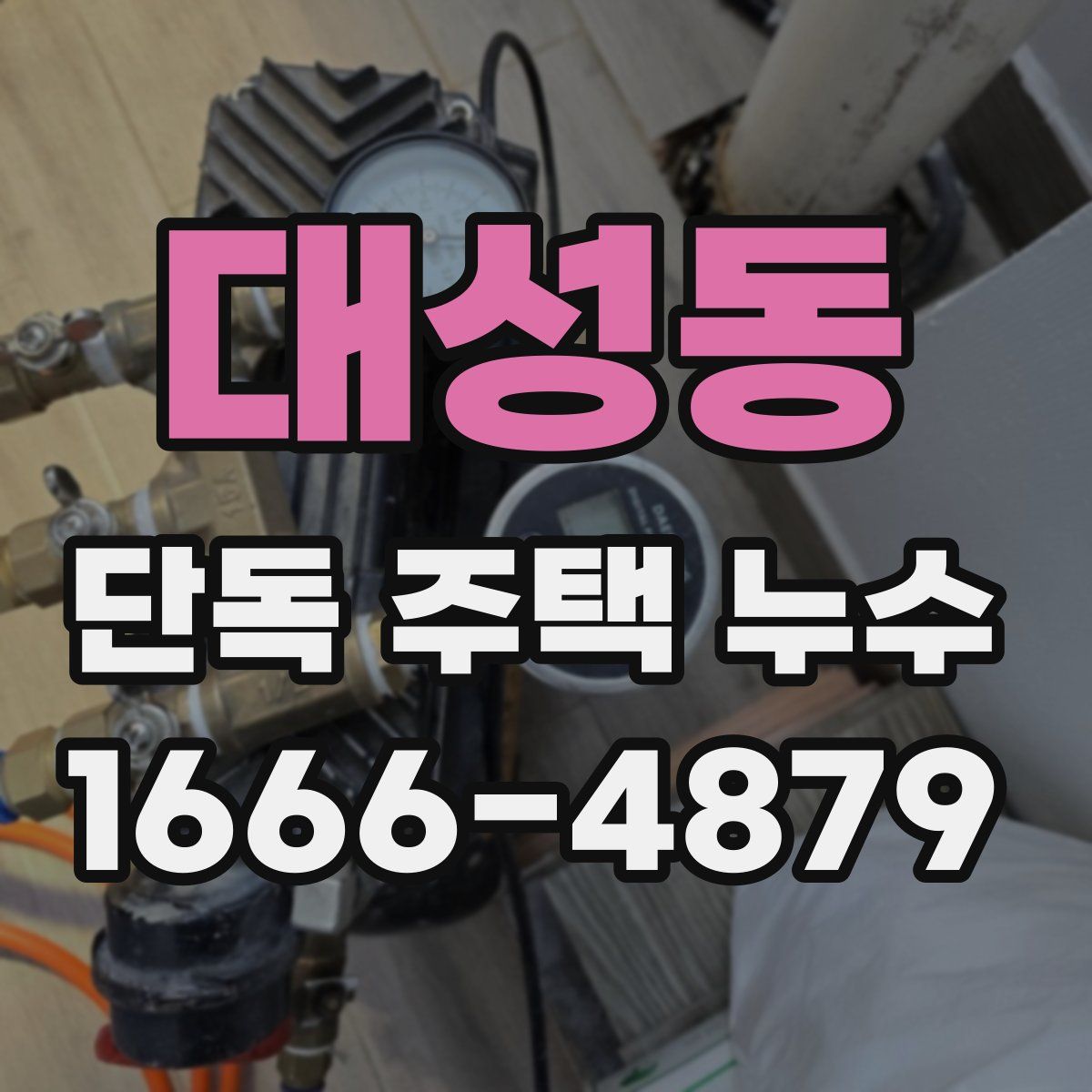 대성동 단독 주택 누수