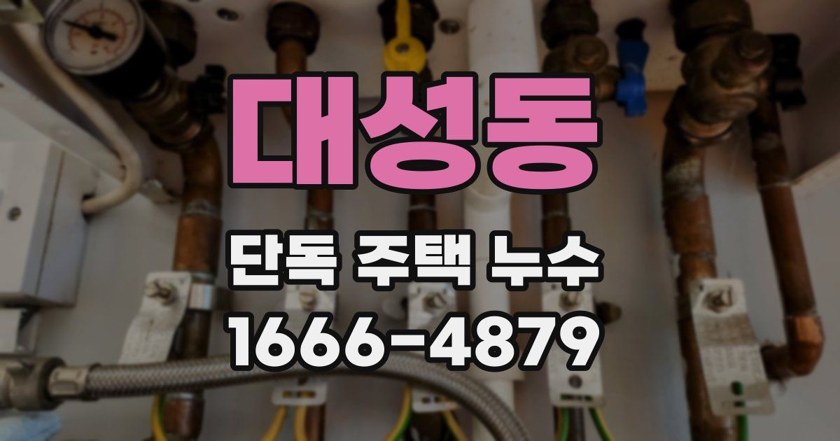 대성동 단독 주택 누수
