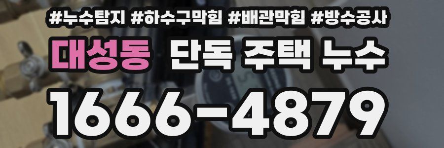 대성동 단독 주택 누수