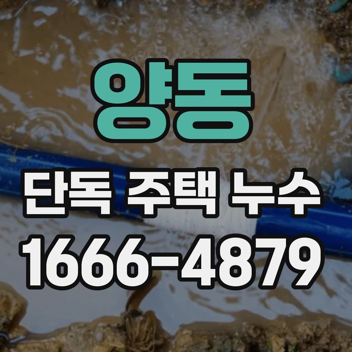 양동 단독 주택 누수