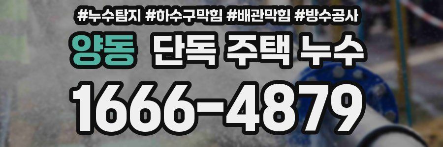 양동 단독 주택 누수