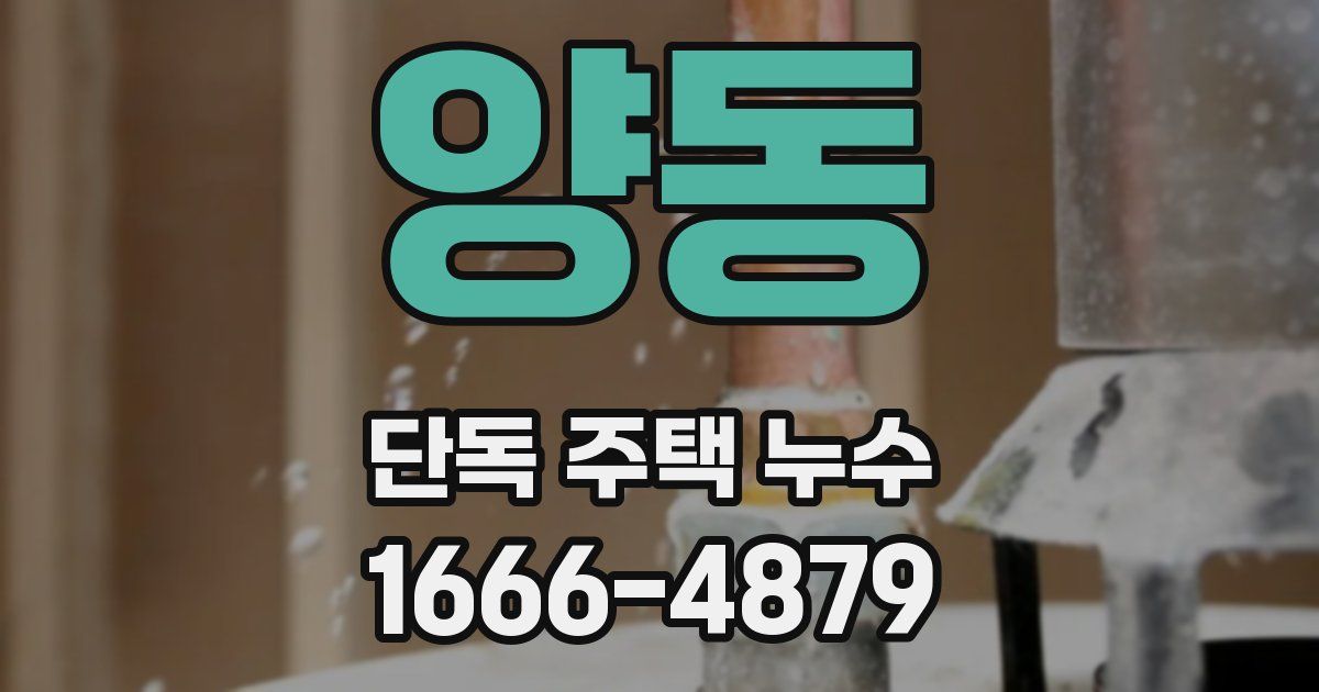 양동 단독 주택 누수