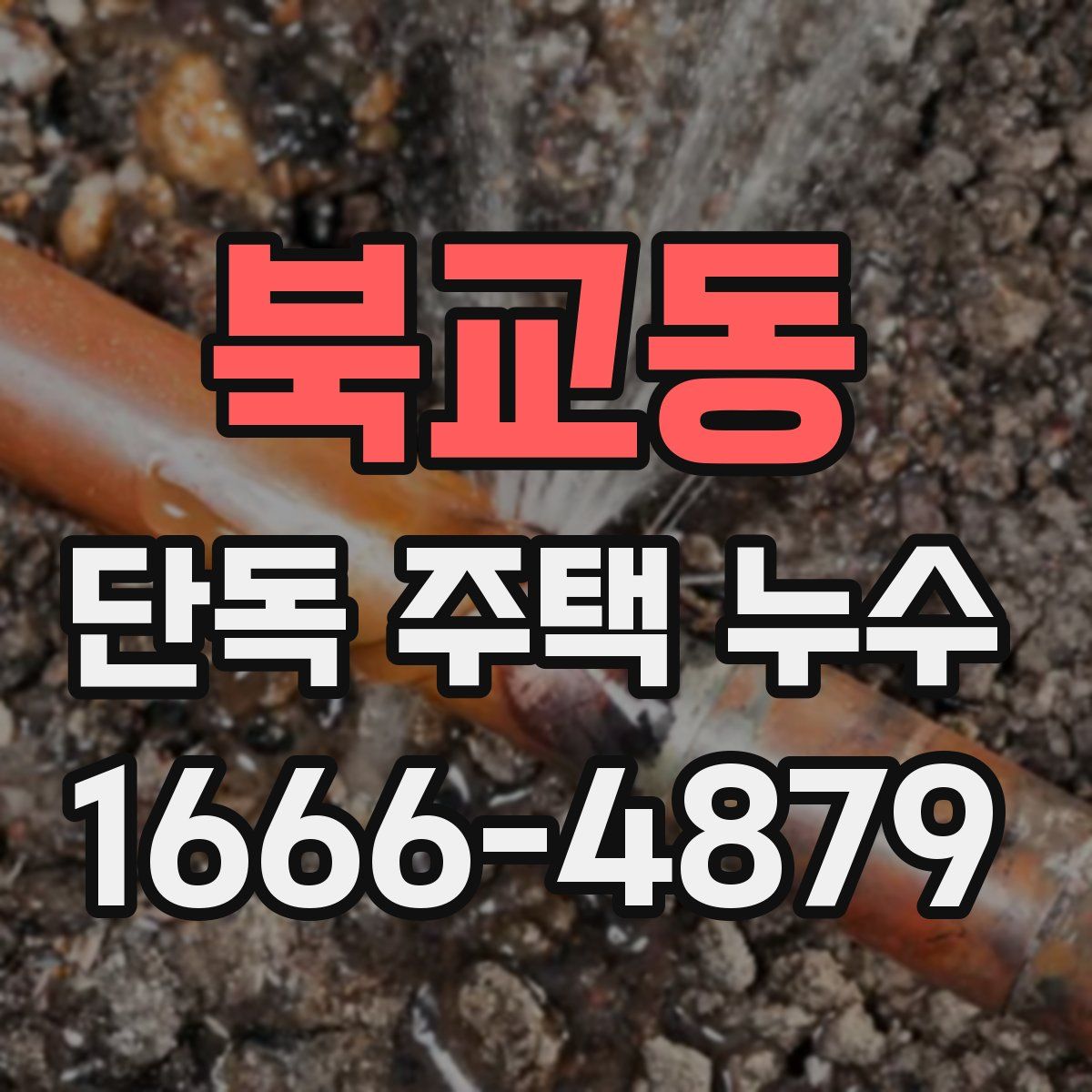 북교동 단독 주택 누수