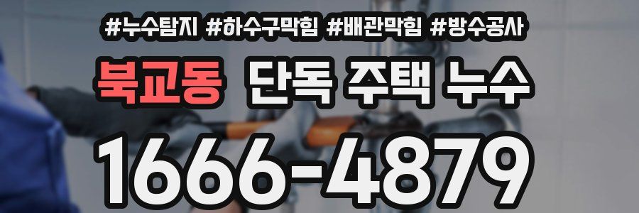 북교동 단독 주택 누수