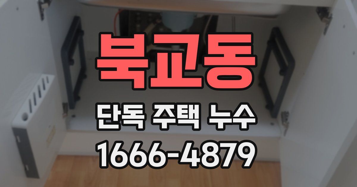 북교동 단독 주택 누수