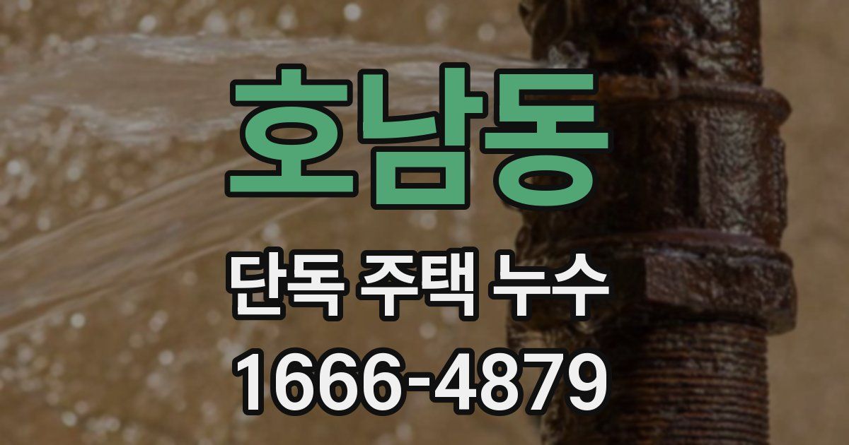 호남동 단독 주택 누수