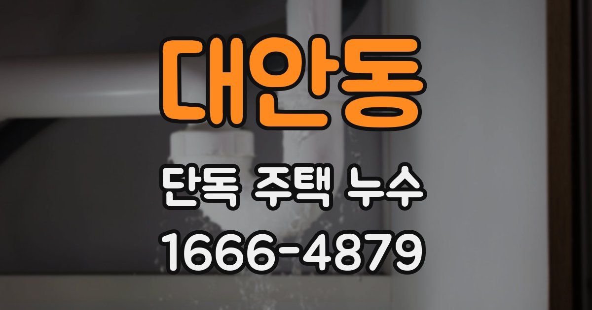 대안동 단독 주택 누수
