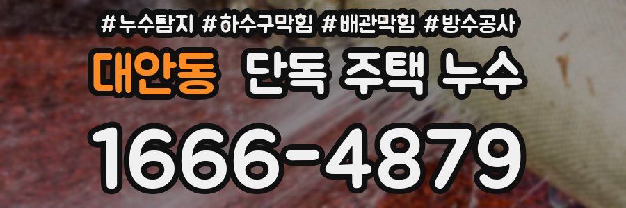 대안동 단독 주택 누수