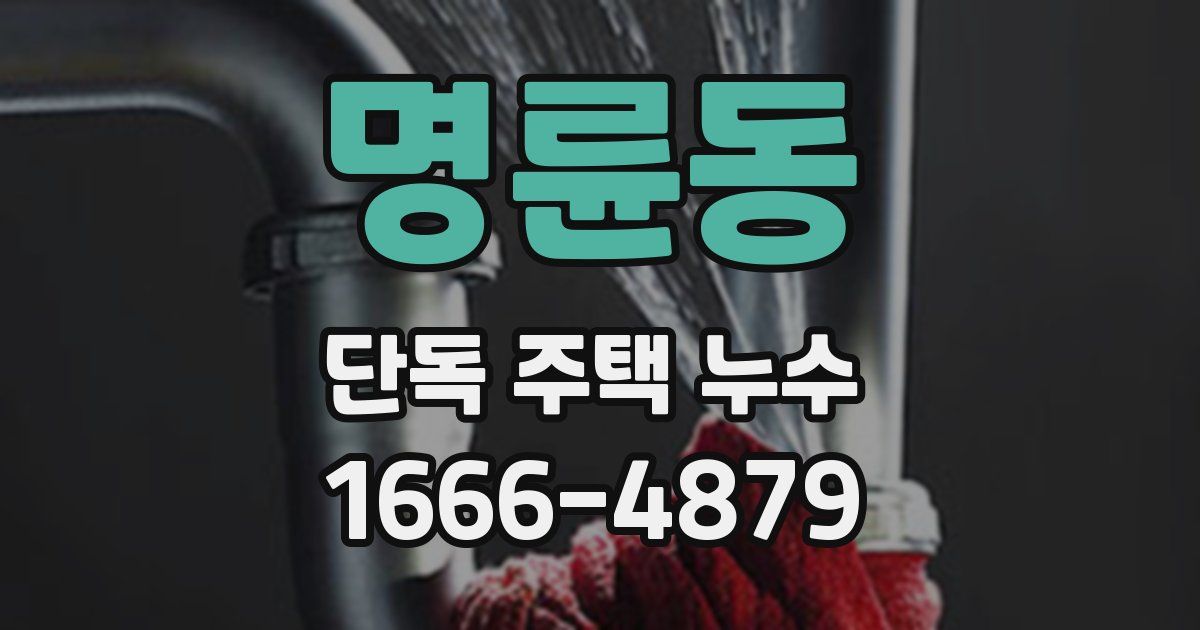 명륜동 단독 주택 누수