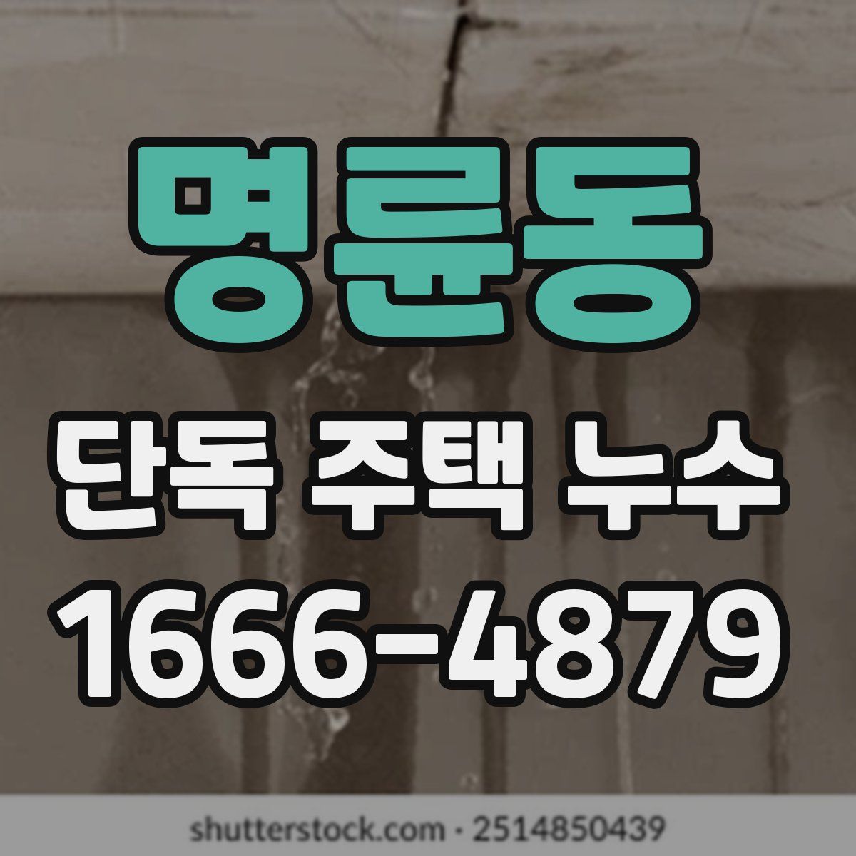 명륜동 단독 주택 누수