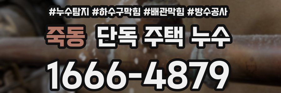 죽동 단독 주택 누수