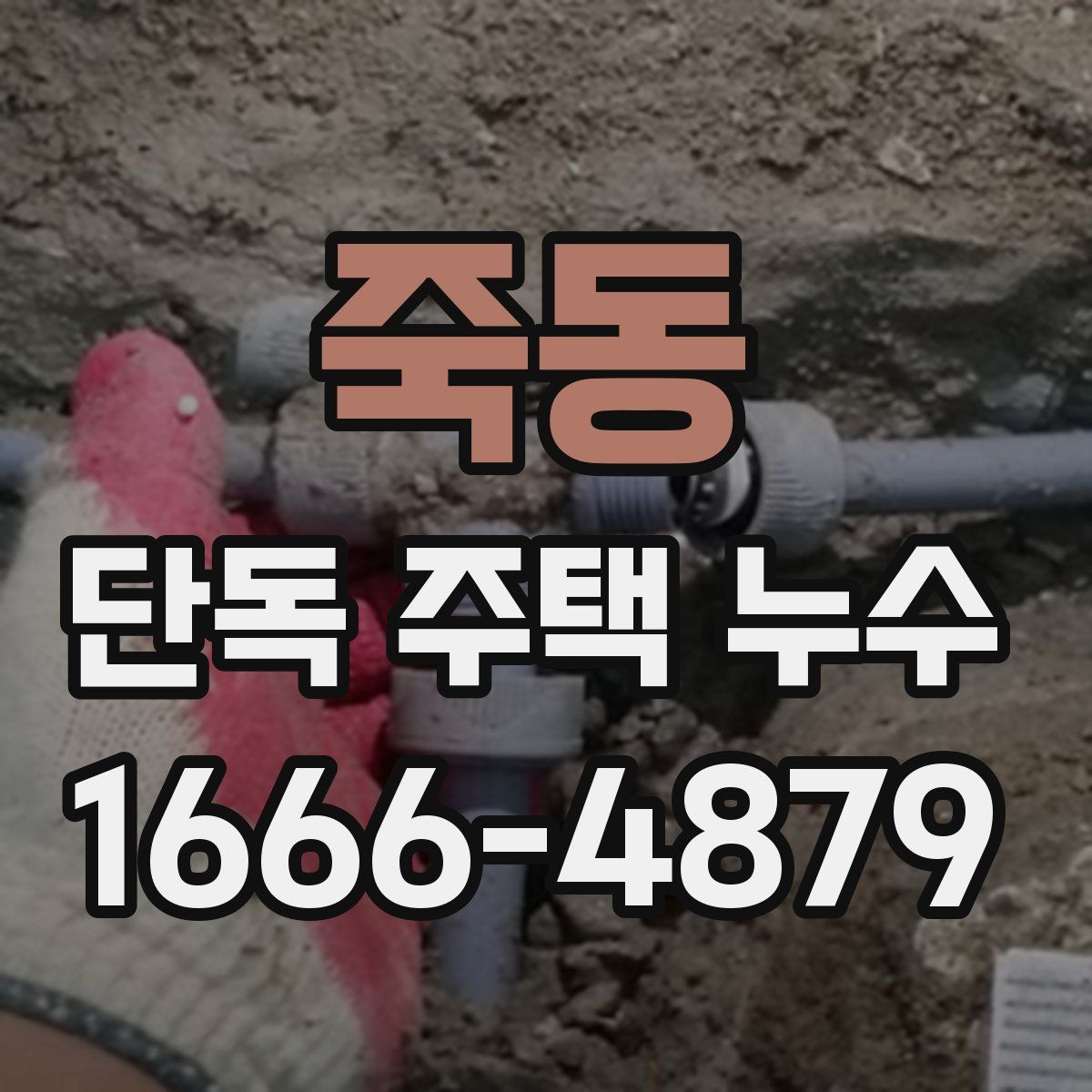 죽동 단독 주택 누수