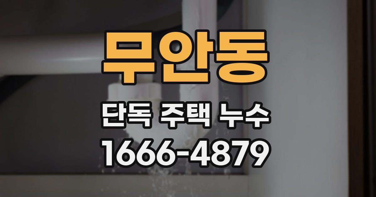 무안동 단독 주택 누수