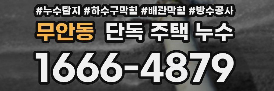 무안동 단독 주택 누수