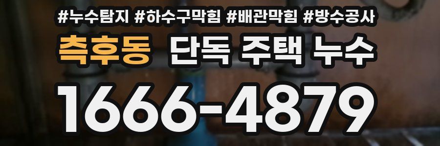 측후동 단독 주택 누수