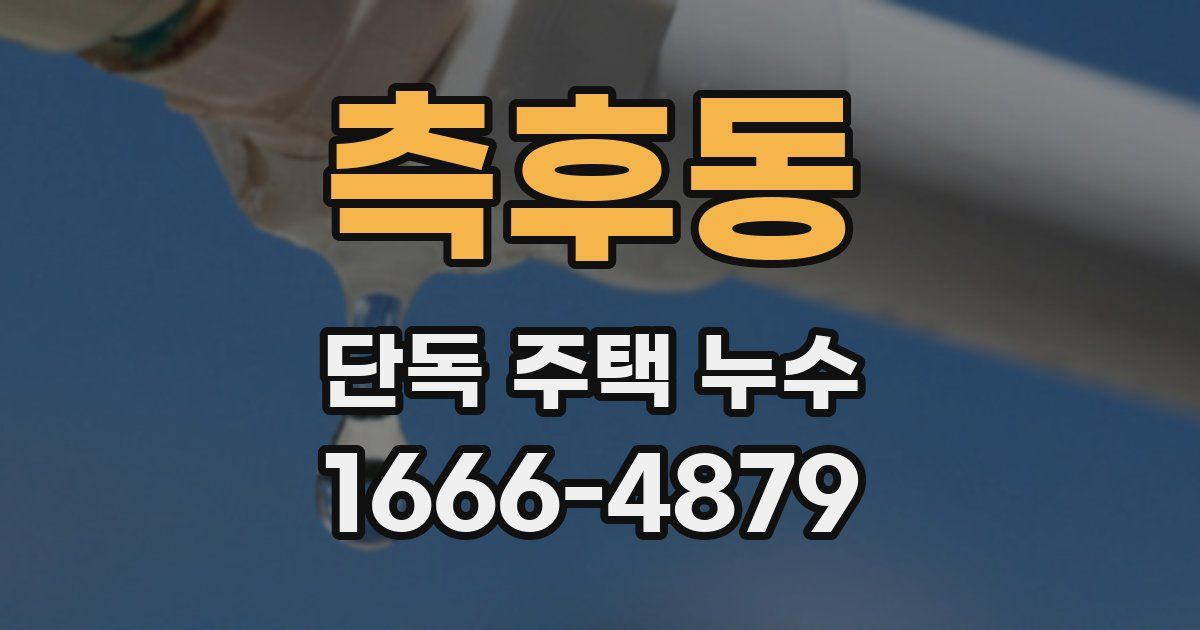 측후동 단독 주택 누수
