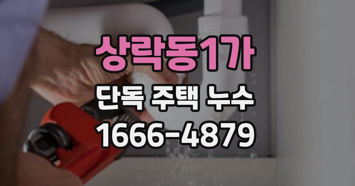 상락동1가 단독 주택 누수