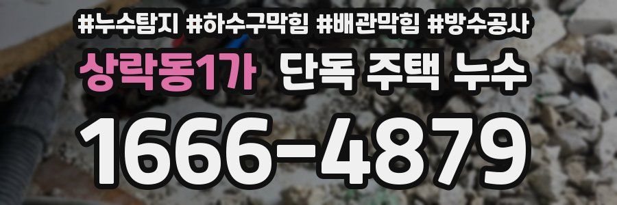 상락동1가 단독 주택 누수