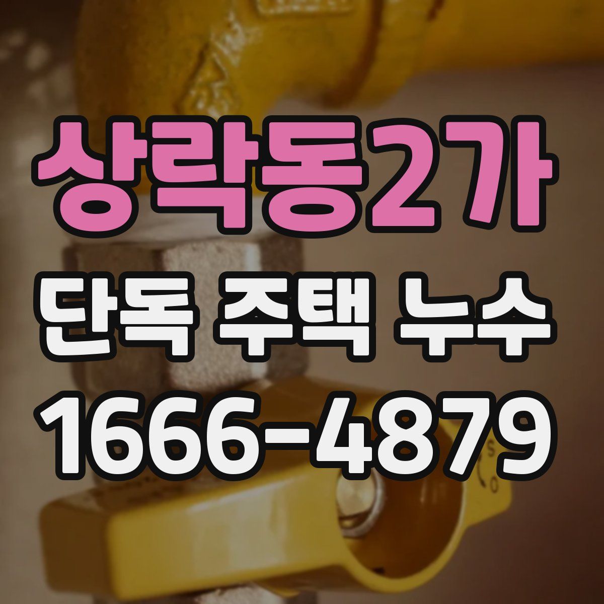 상락동2가 단독 주택 누수
