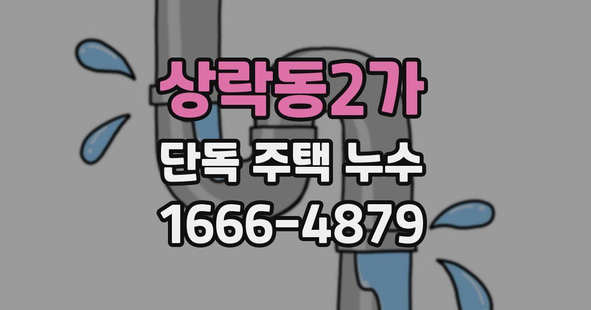 상락동2가 단독 주택 누수