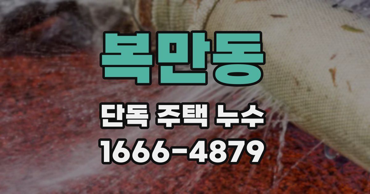 복만동 단독 주택 누수