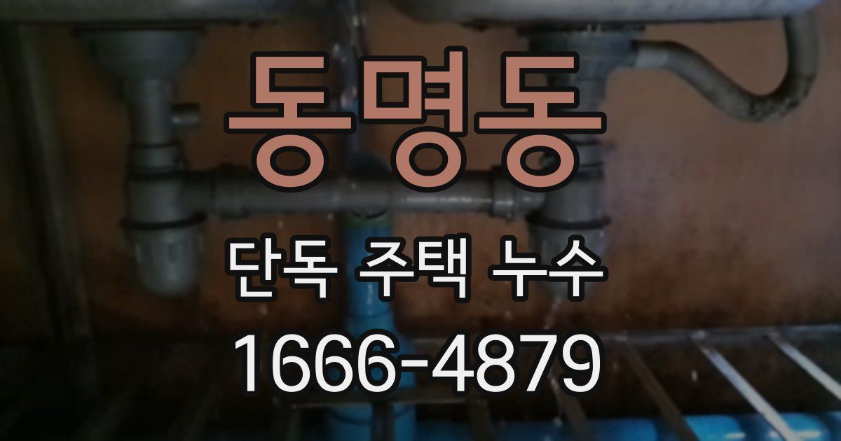 동명동 단독 주택 누수