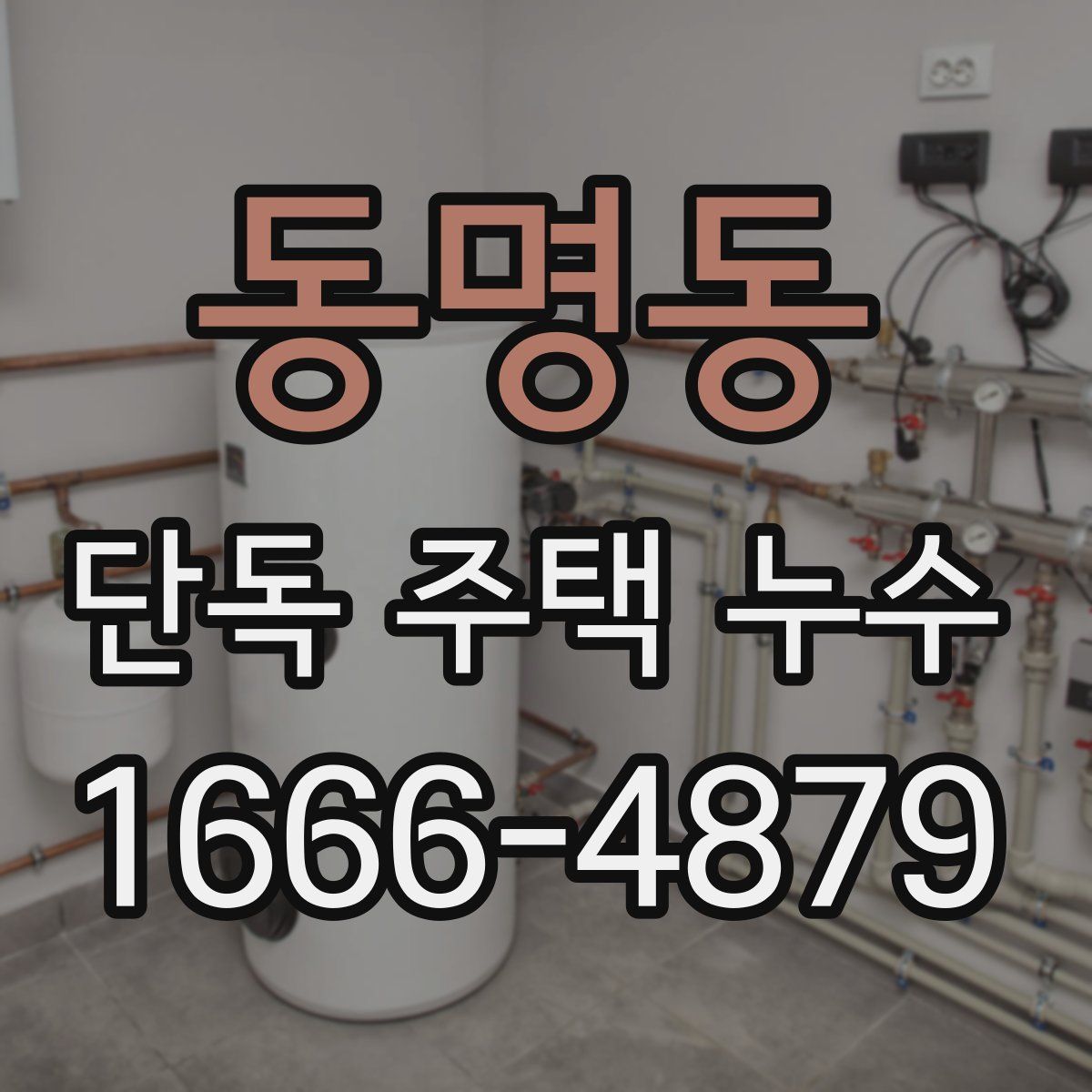 동명동 단독 주택 누수