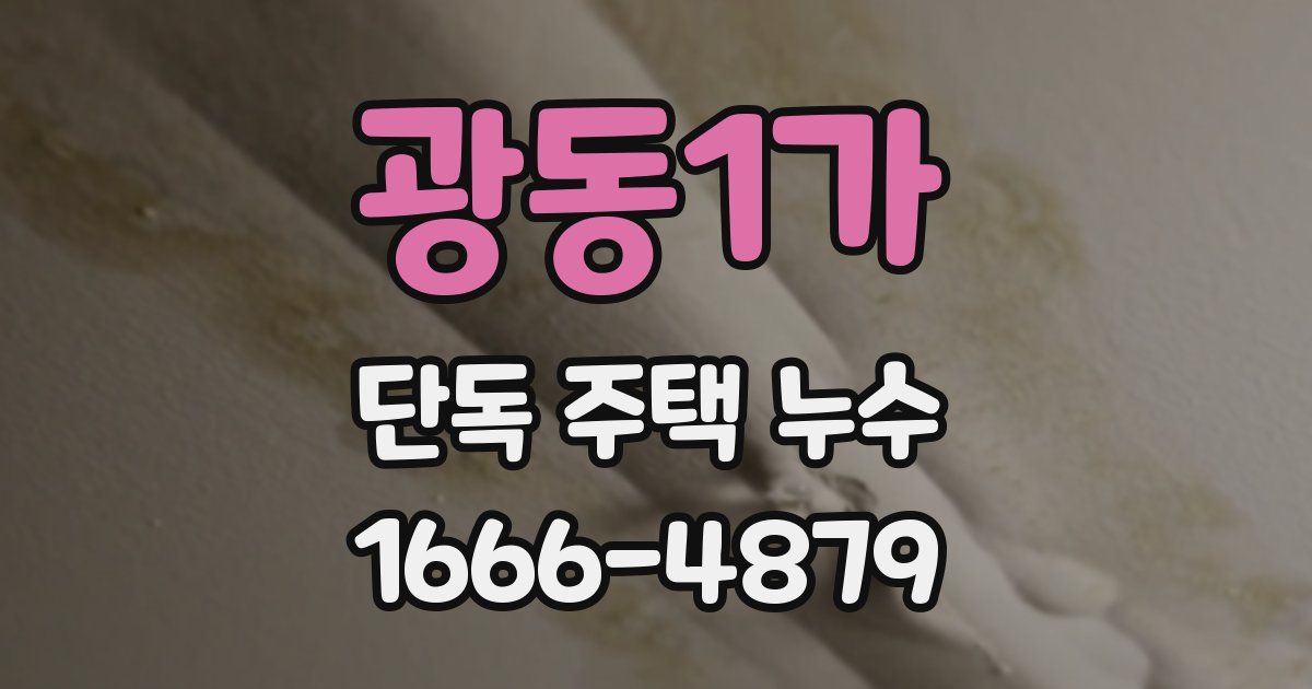 광동1가 단독 주택 누수