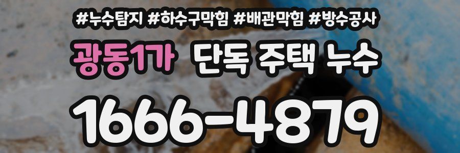 광동1가 단독 주택 누수