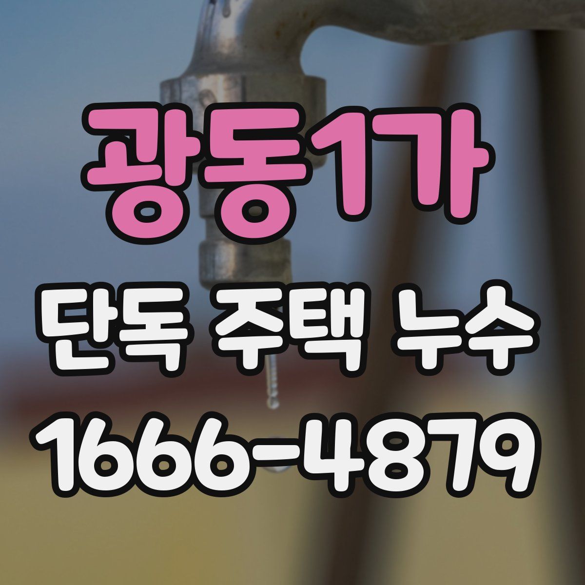 광동1가 단독 주택 누수