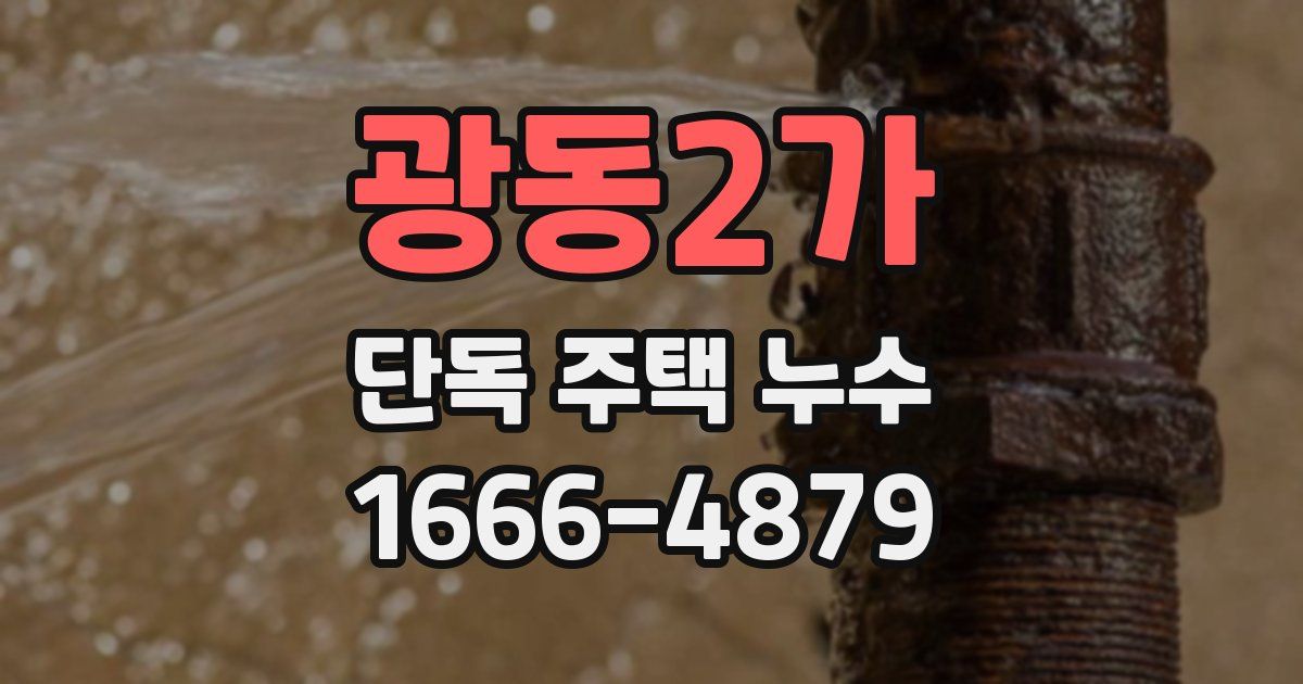 광동2가 단독 주택 누수