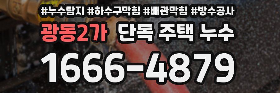 광동2가 단독 주택 누수
