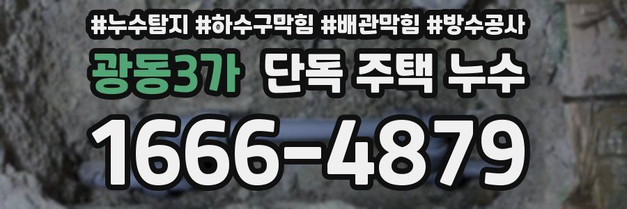 광동3가 단독 주택 누수