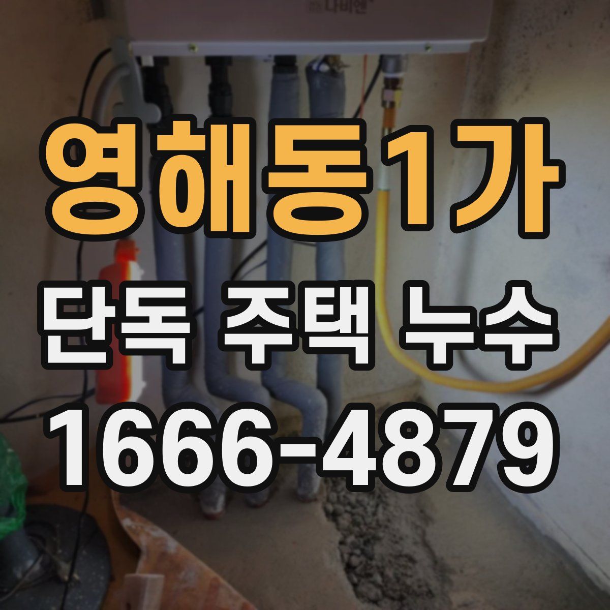 영해동1가 단독 주택 누수