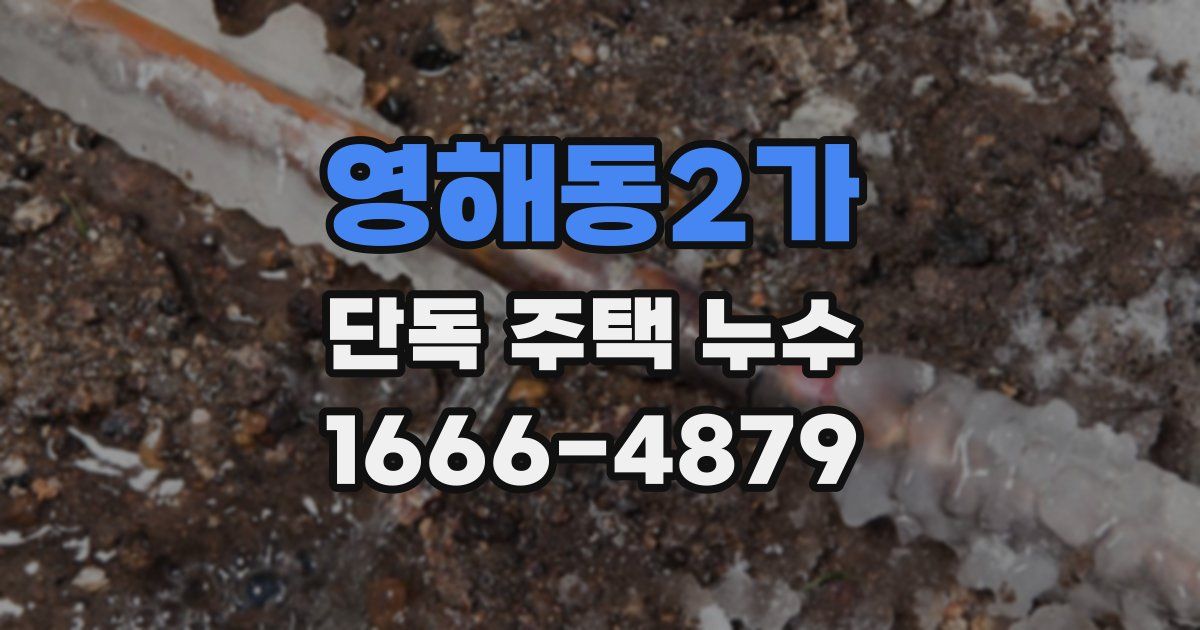 영해동2가 단독 주택 누수