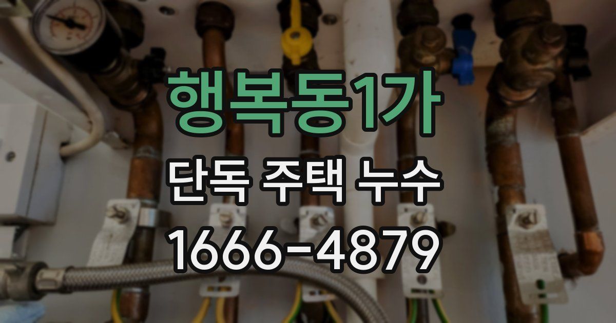 행복동1가 단독 주택 누수