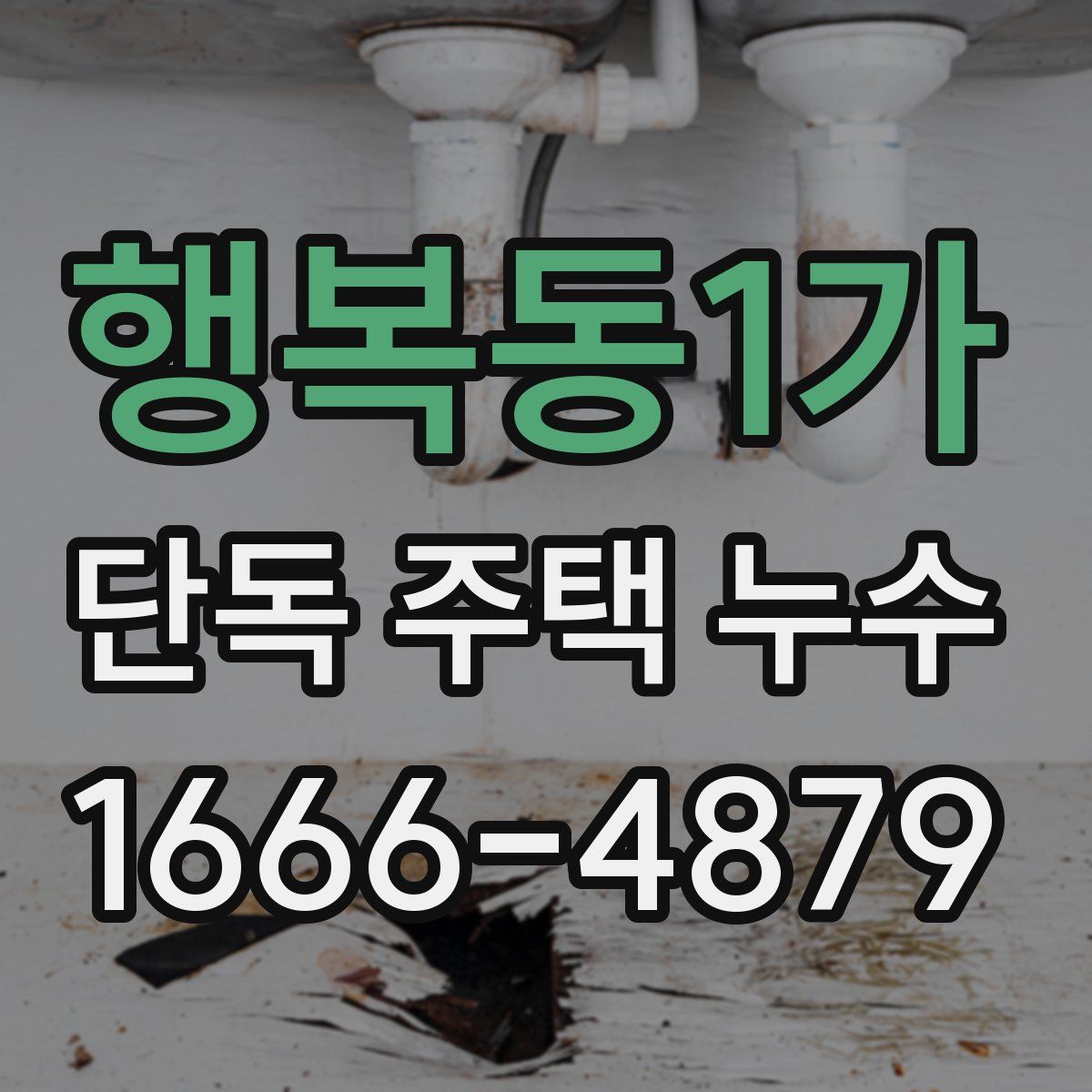 행복동1가 단독 주택 누수