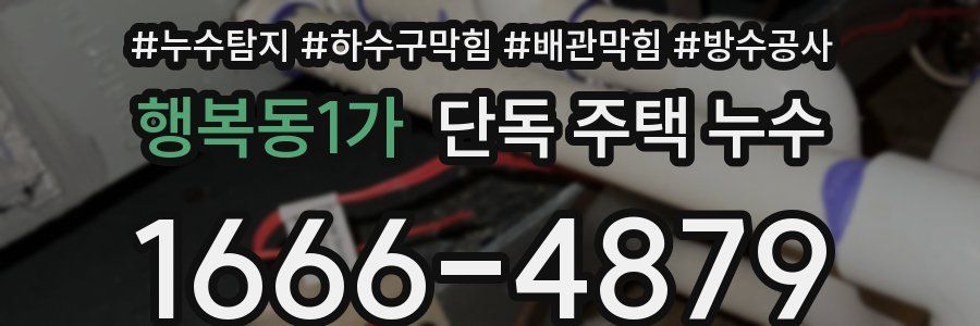 행복동1가 단독 주택 누수