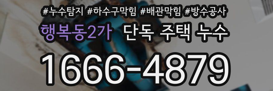 행복동2가 단독 주택 누수