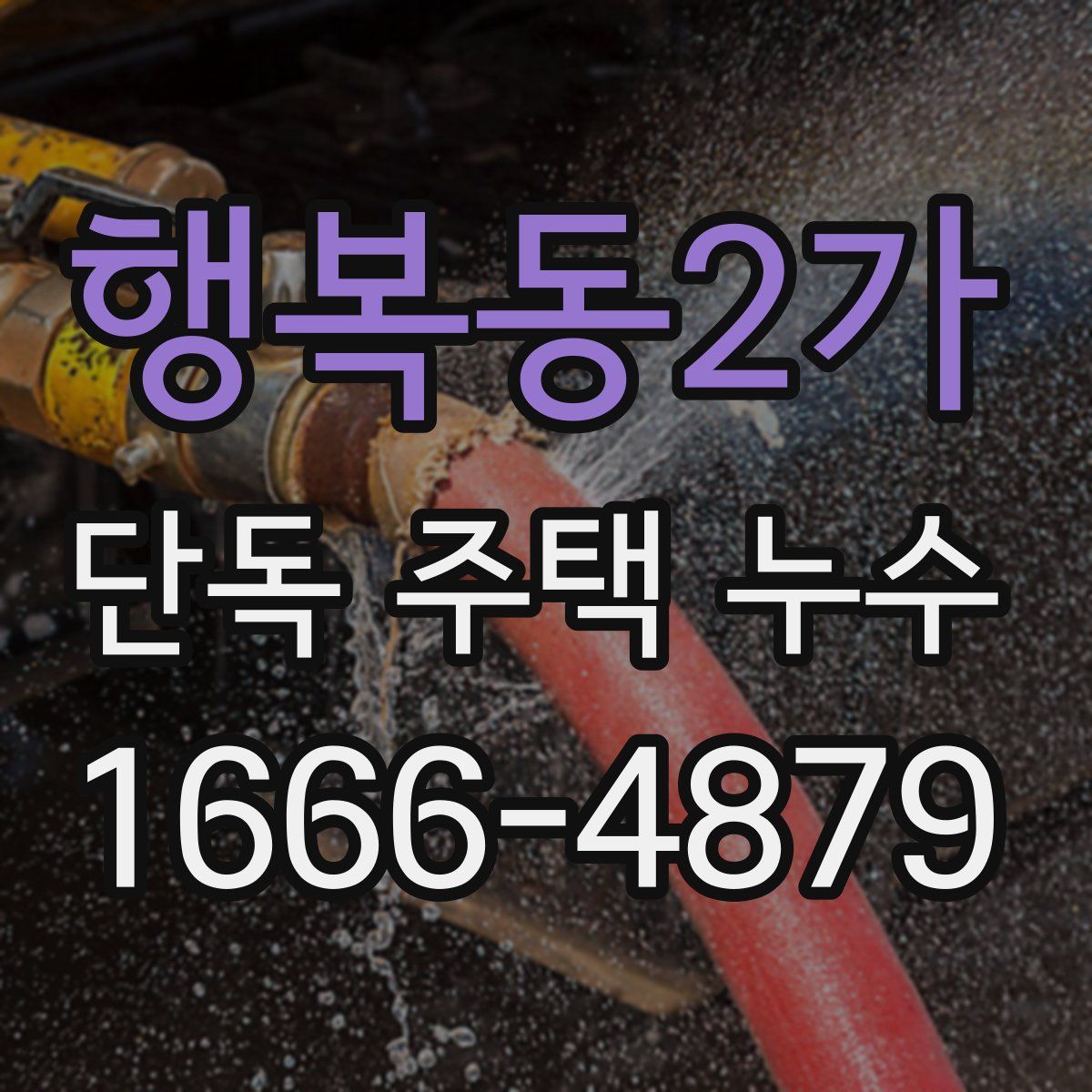 행복동2가 단독 주택 누수