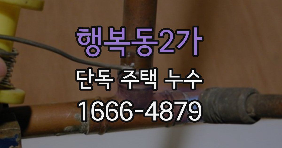 행복동2가 단독 주택 누수