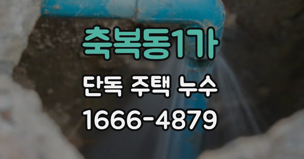축복동1가 단독 주택 누수