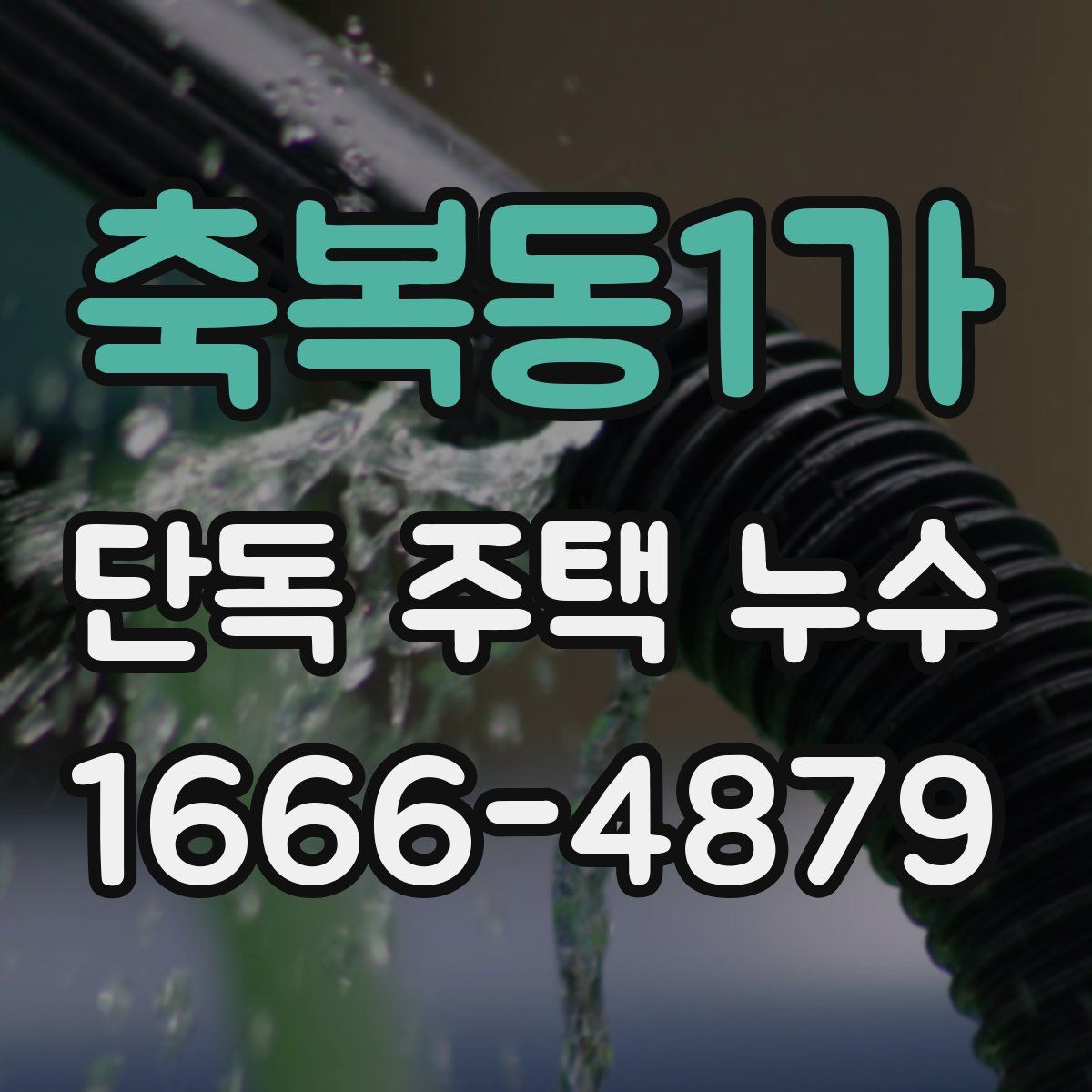 축복동1가 단독 주택 누수