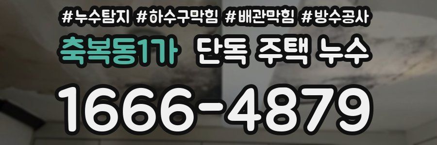 축복동1가 단독 주택 누수